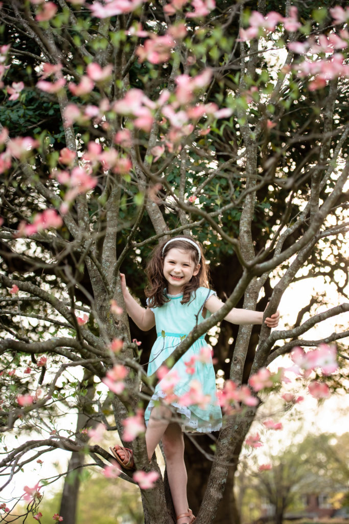 little girl standing on the branches of a cherry blossom tree in a light blue dress and a white headband during a family photoshoot