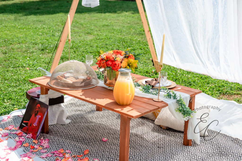 detail shot of the cozy picnic setup this newly engaged couple enjoys in the park