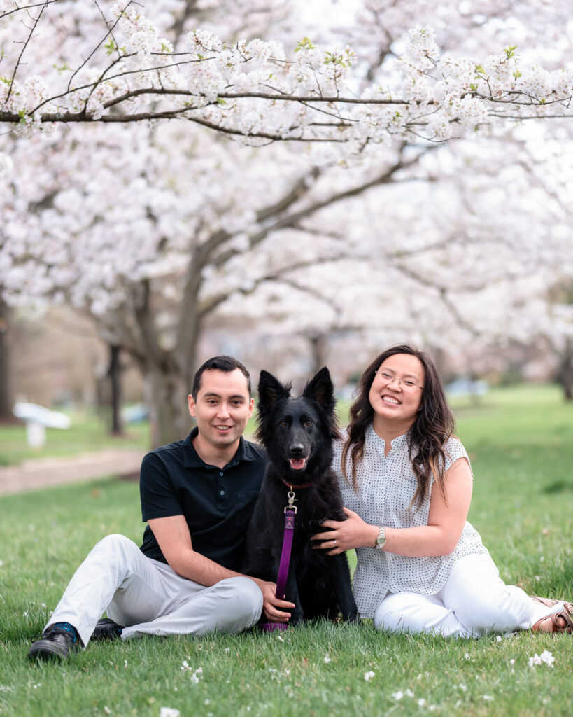 Couple with dog sitting in front of cherry blossom tree