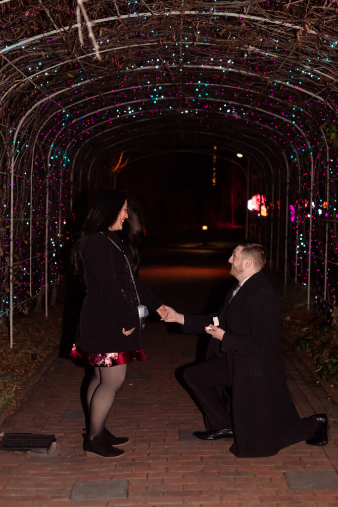 Kevin proposing to Terri at Lewis Ginter GardenFest of Lights, surrounded by sparkling holiday lights, captured by EmmiClaire Photography.