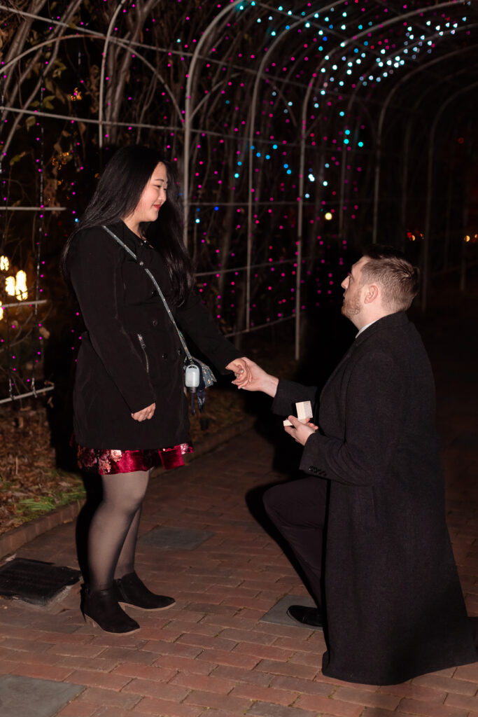 Kevin proposing to Terri at Lewis Ginter GardenFest of Lights, surrounded by sparkling holiday lights, captured by EmmiClaire Photography.