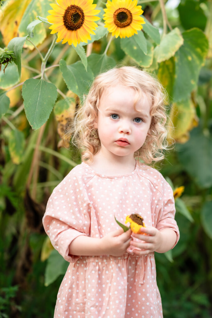 child playing in golden-hour light surrounded by blooming sunflowers